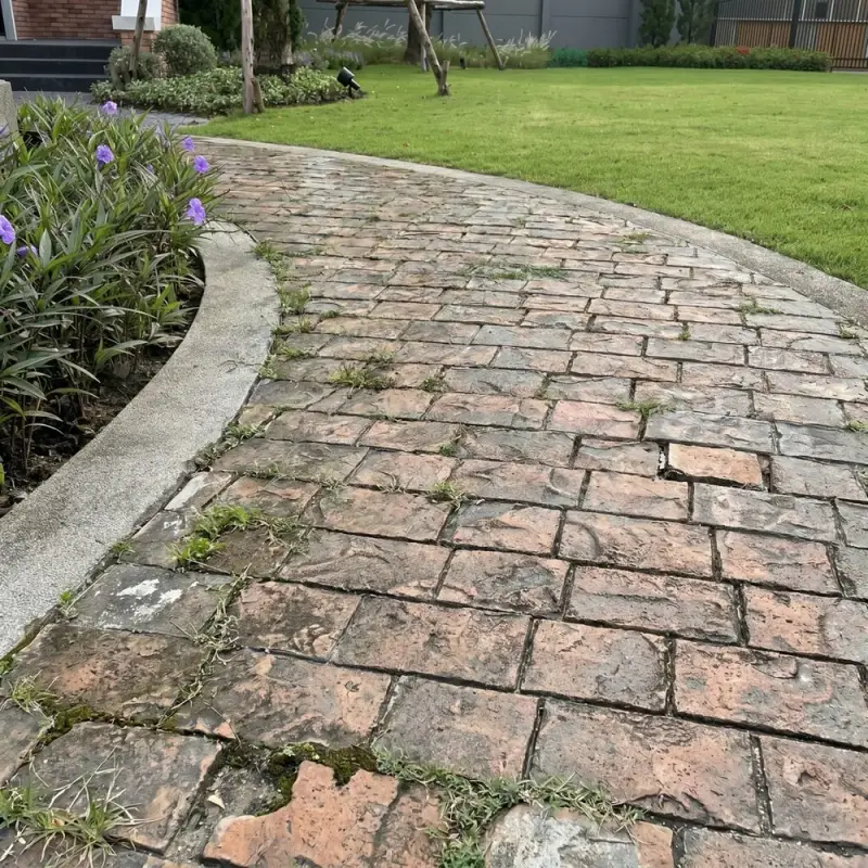 Sidewalks & Walkways — before